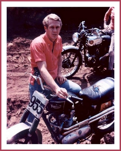 STEVE